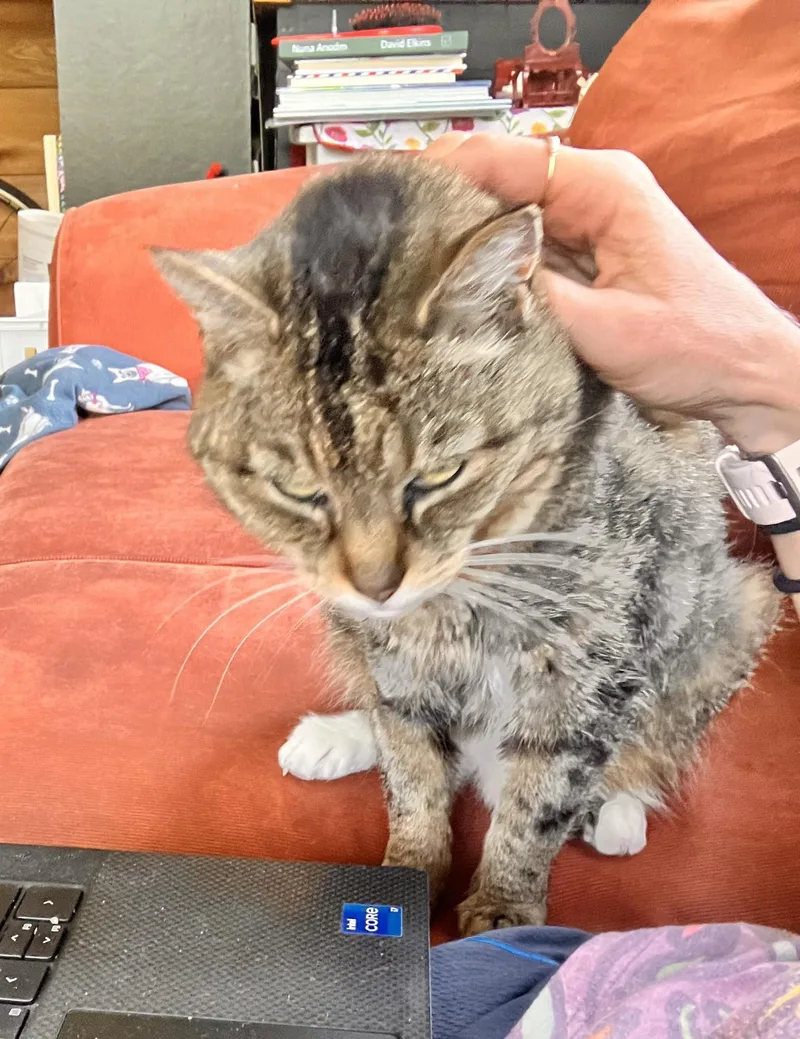 Meeka thumbnail 3