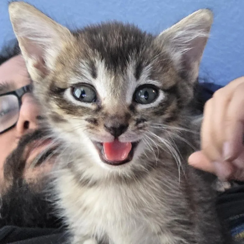 Mimi thumbnail 2