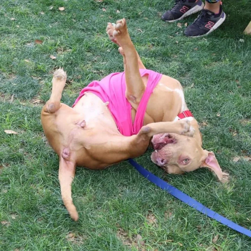 Abilene Jum thumbnail 2