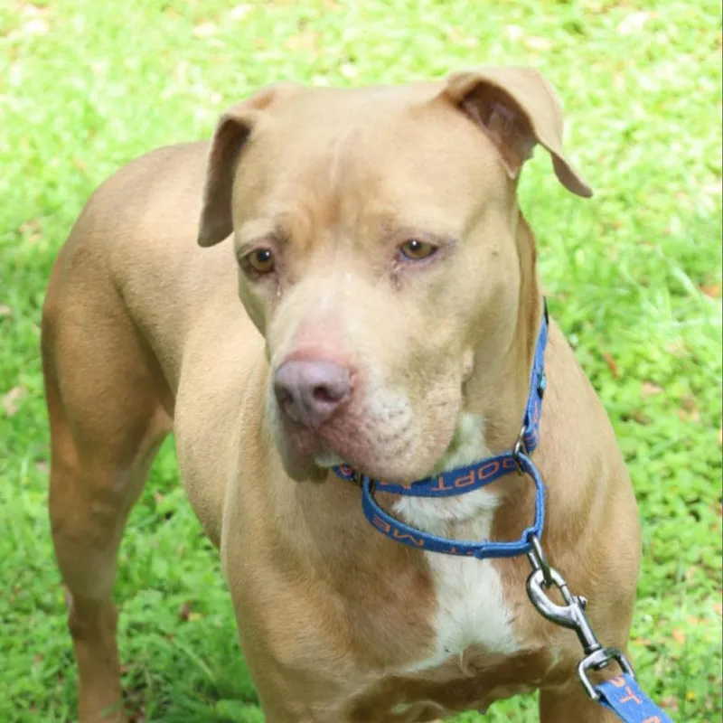 Abilene Jum thumbnail 6