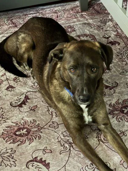 Tuco Fka Bailey thumbnail 3