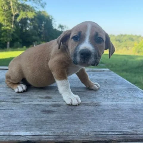 Hudson