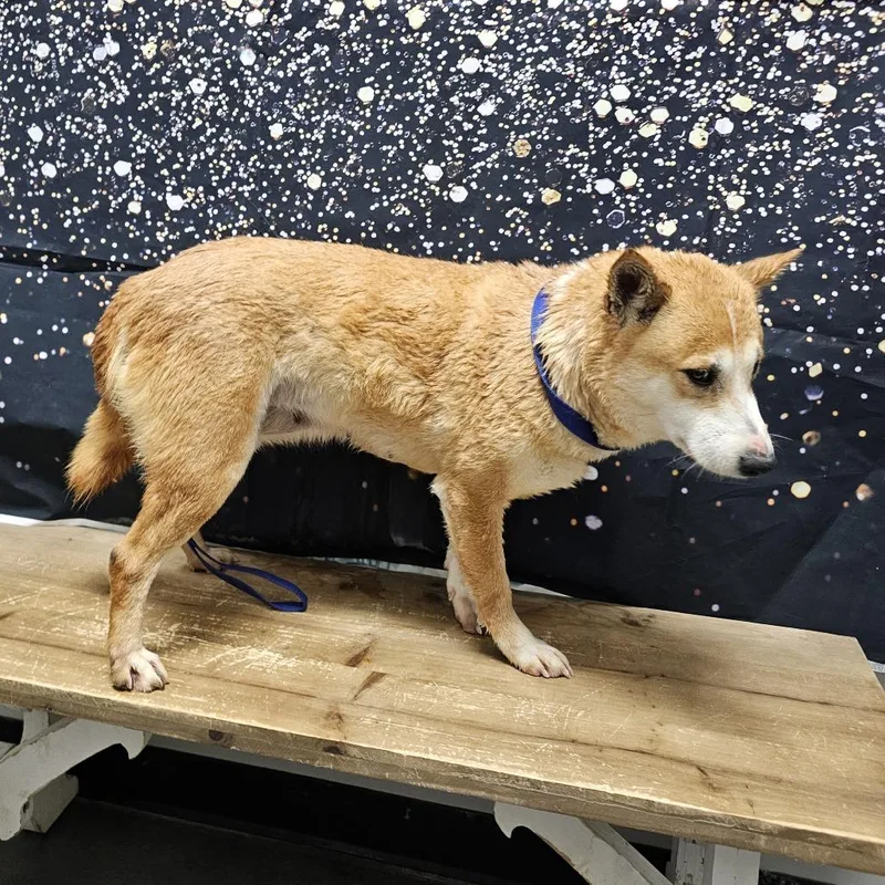 Sue Ellen thumbnail 2