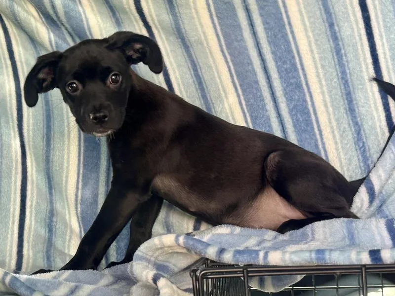 Precious thumbnail 2