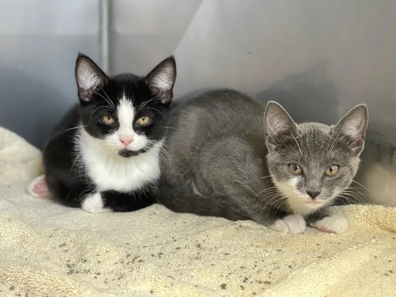 Aggie & Dylan thumbnail 2