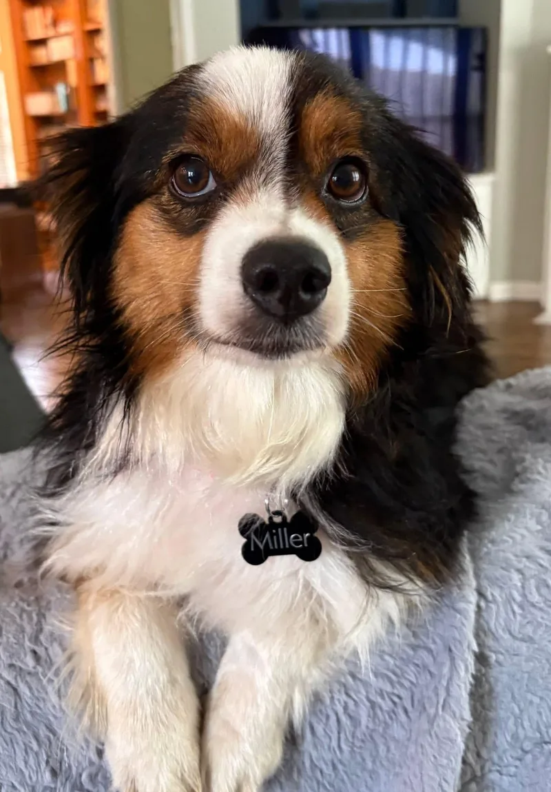 Bailey Jo thumbnail 3