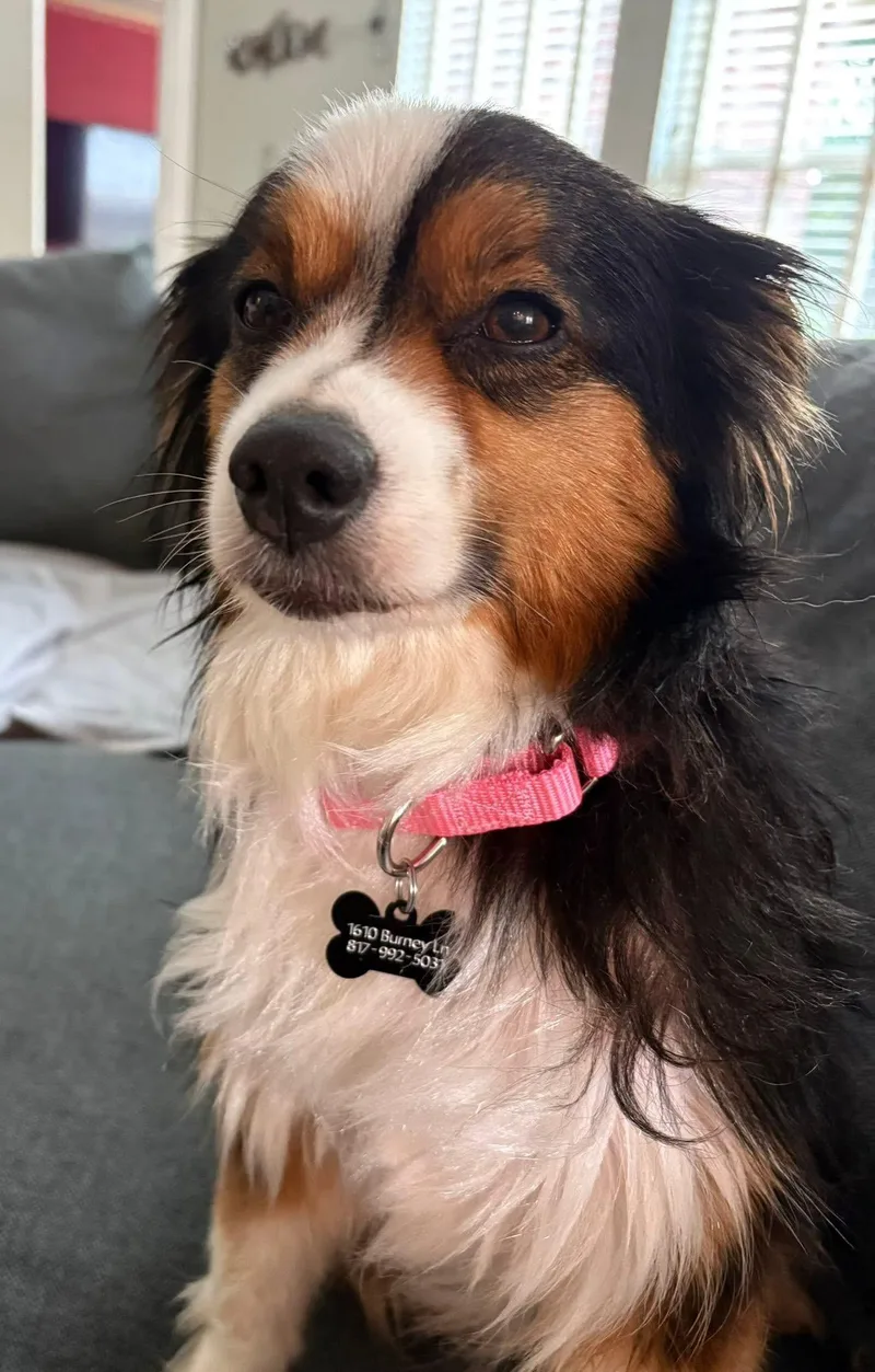 Bailey Jo thumbnail 4