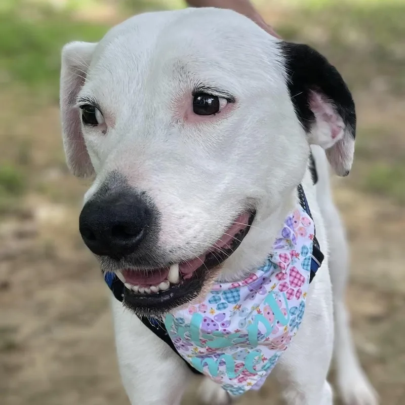 Ellie Mae