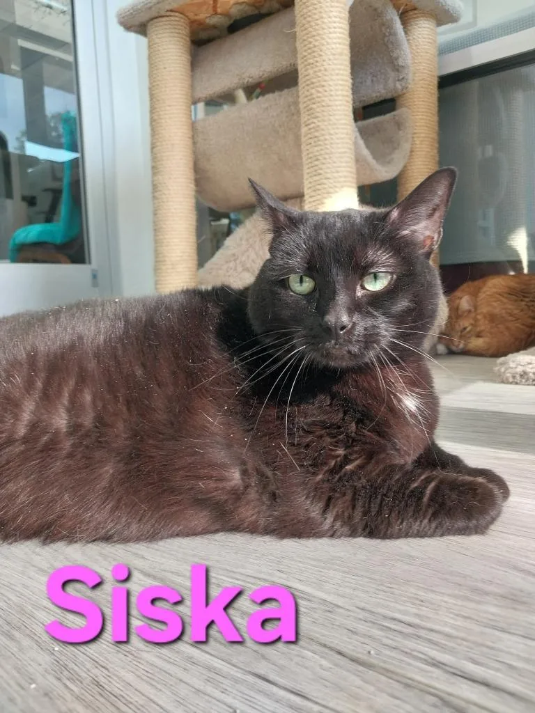 Siska