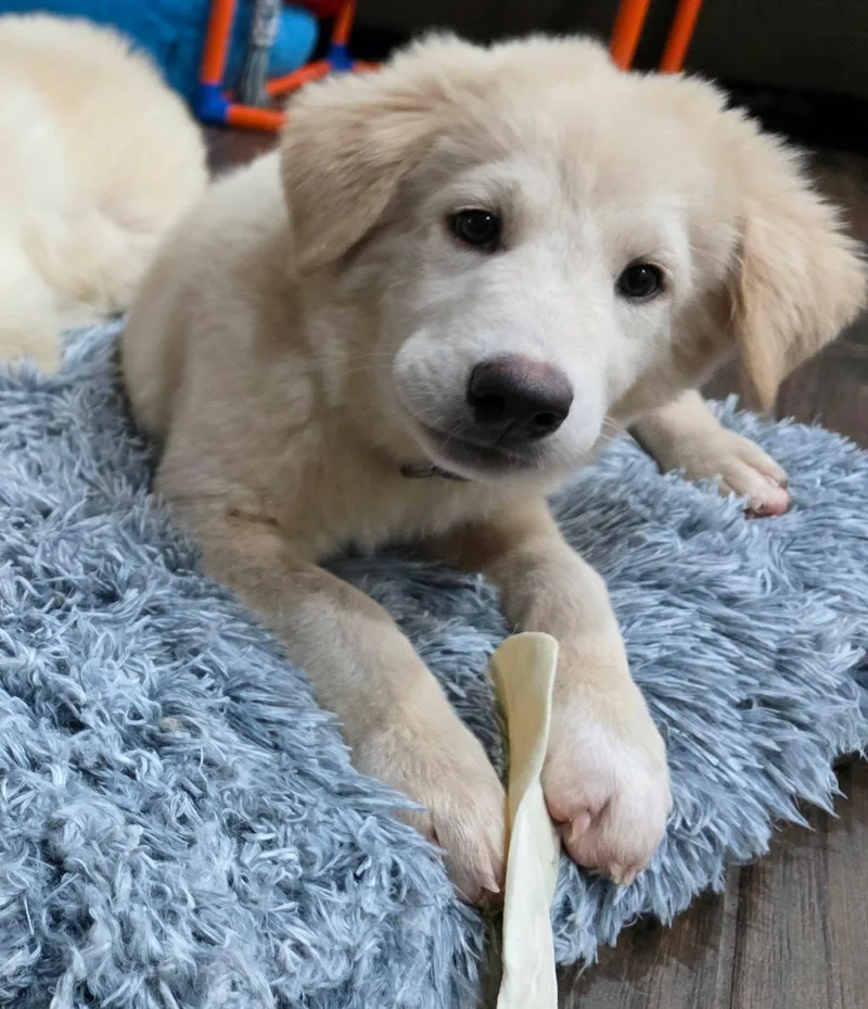 Winnie