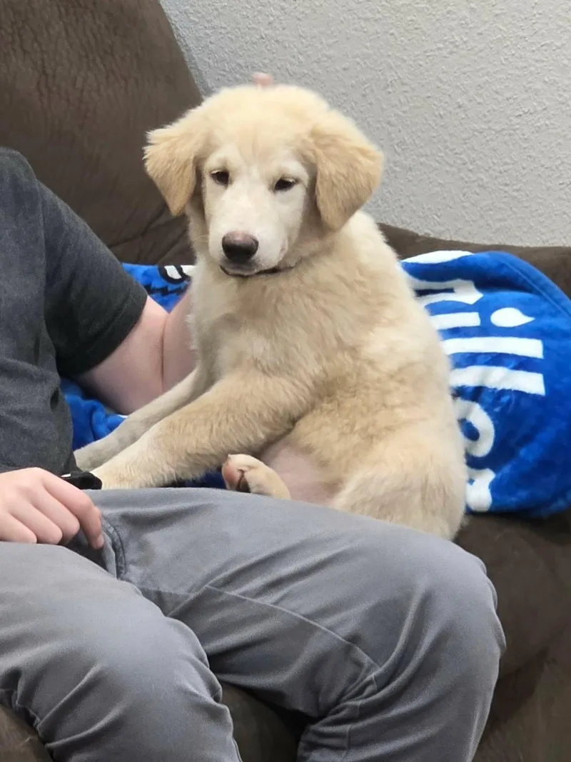 Winnie thumbnail 2