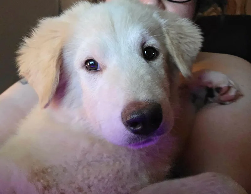 Winnie thumbnail 6