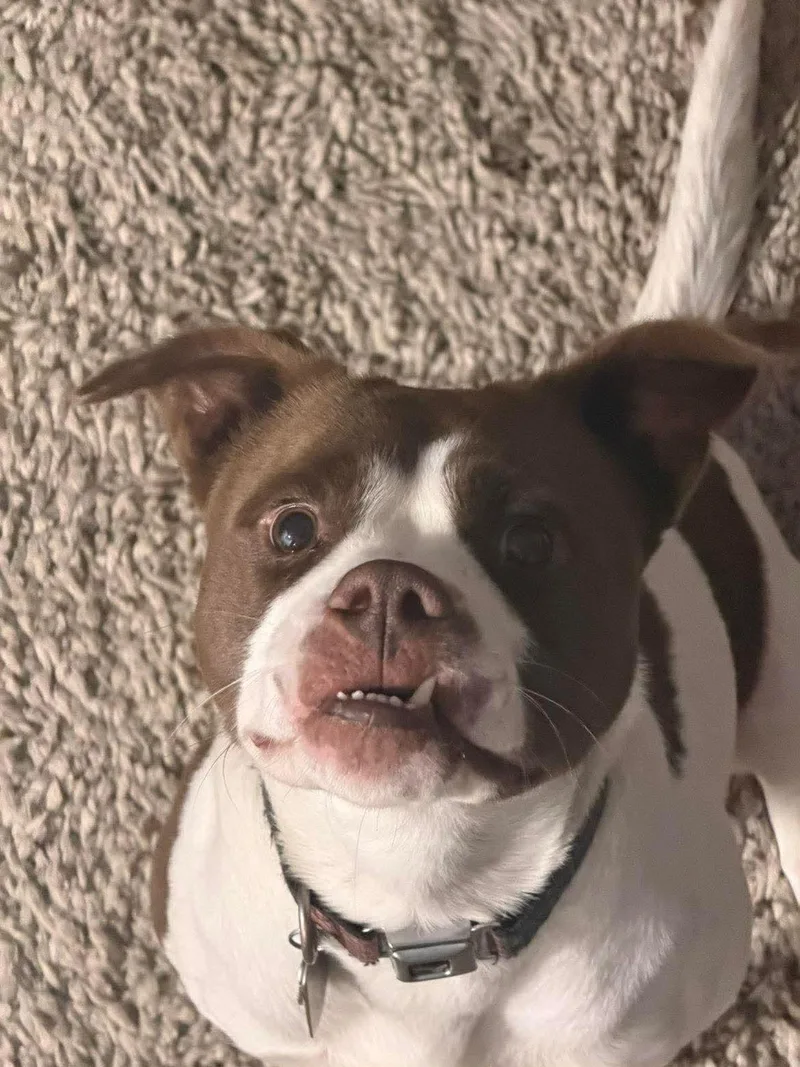 Zeus