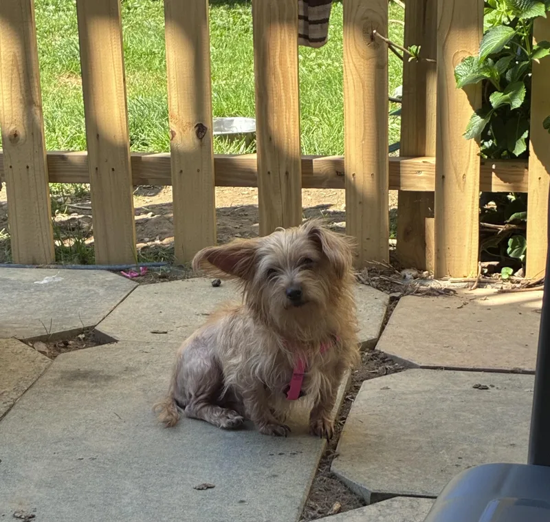 Chloe thumbnail 2