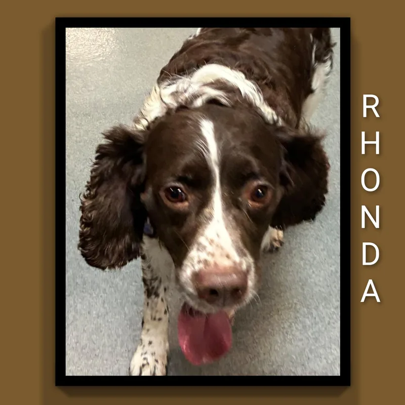Rhonda thumbnail 4