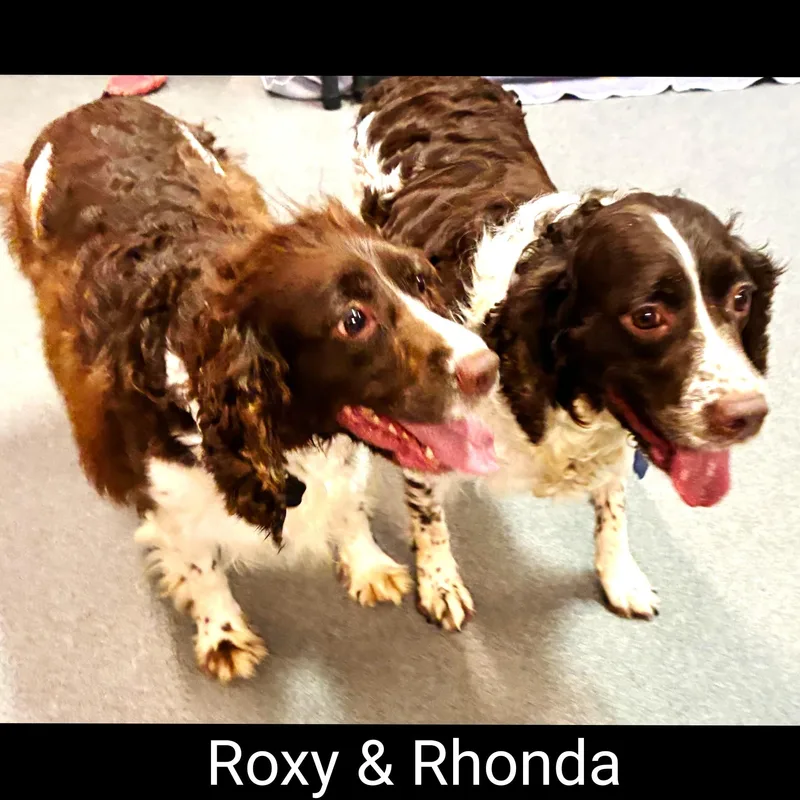 Rhonda thumbnail 5