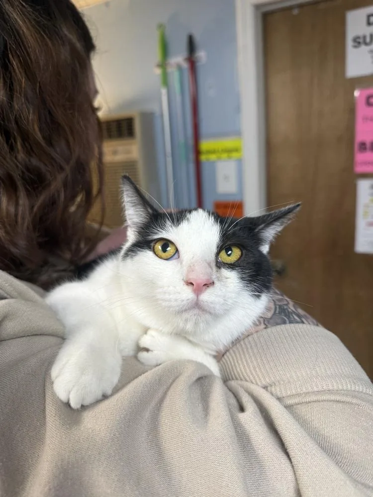 Elle Driver thumbnail 2