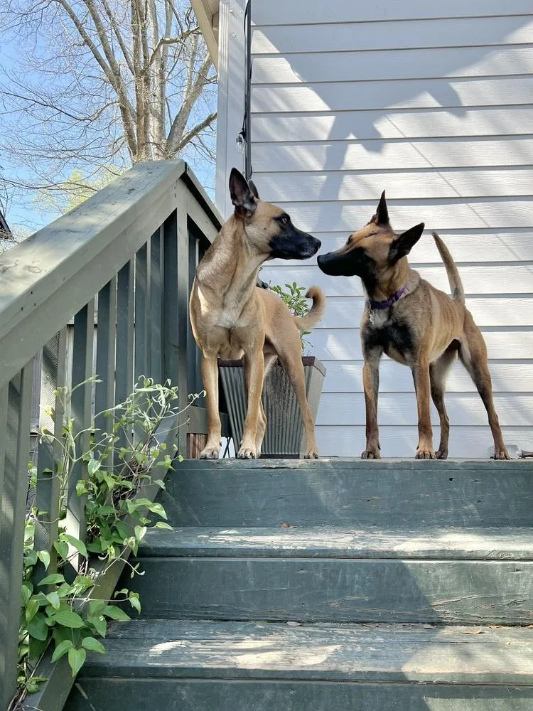 Priscilla  Located In thumbnail 3