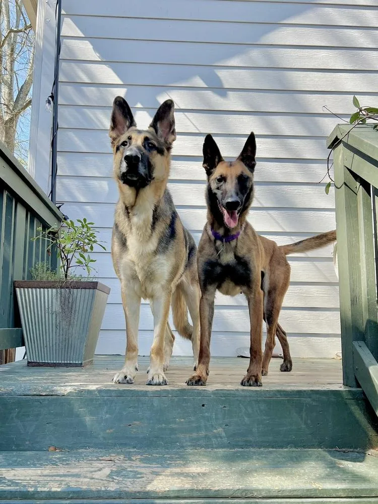 Priscilla  Located In thumbnail 4