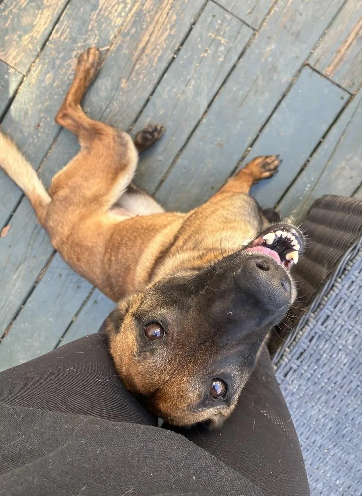 Priscilla  Located In thumbnail 5