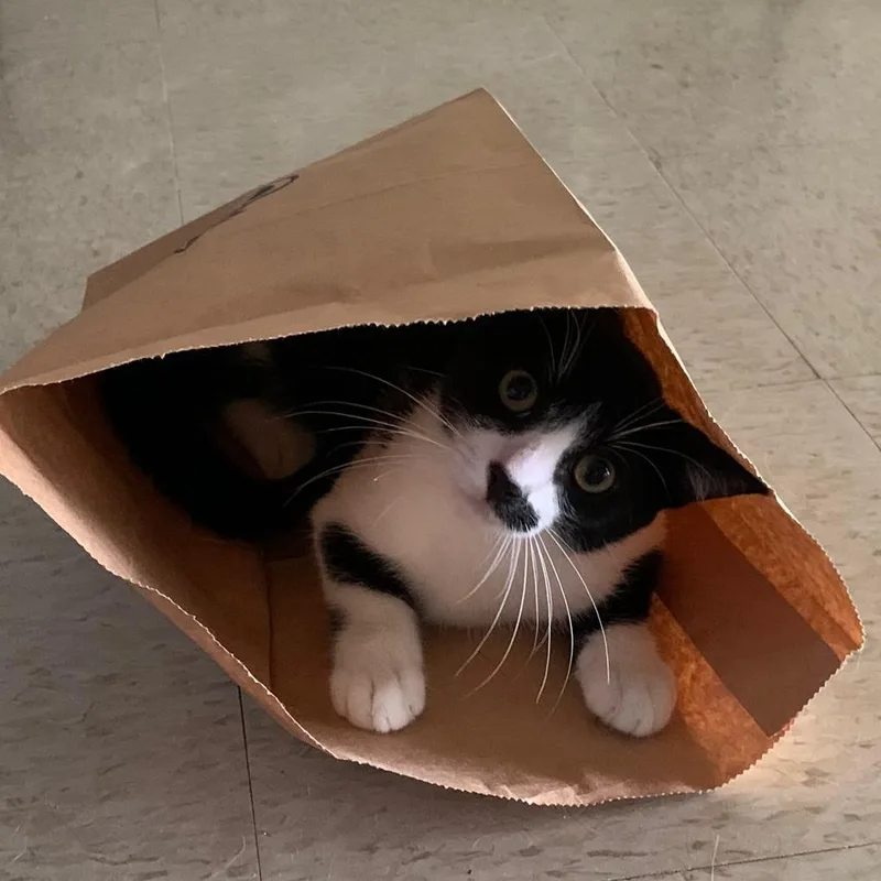 Bamboo "our Love Will thumbnail 2