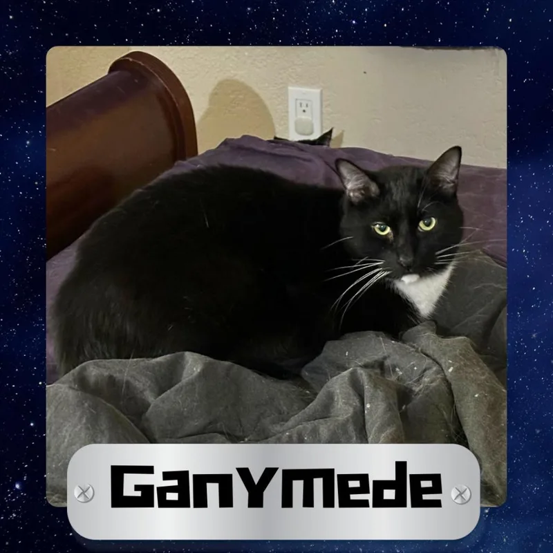 Ganymede