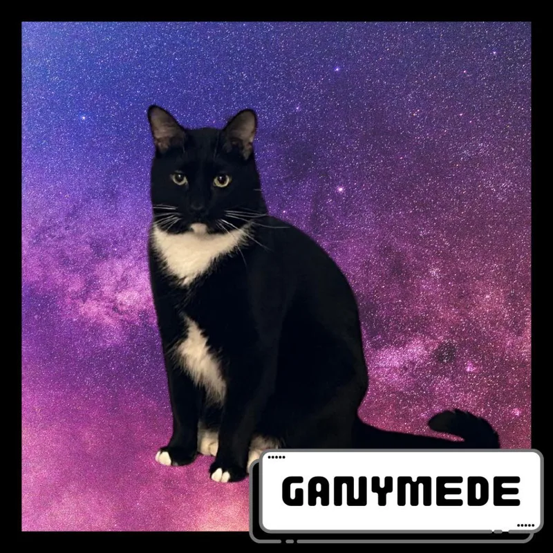 Ganymede thumbnail 3