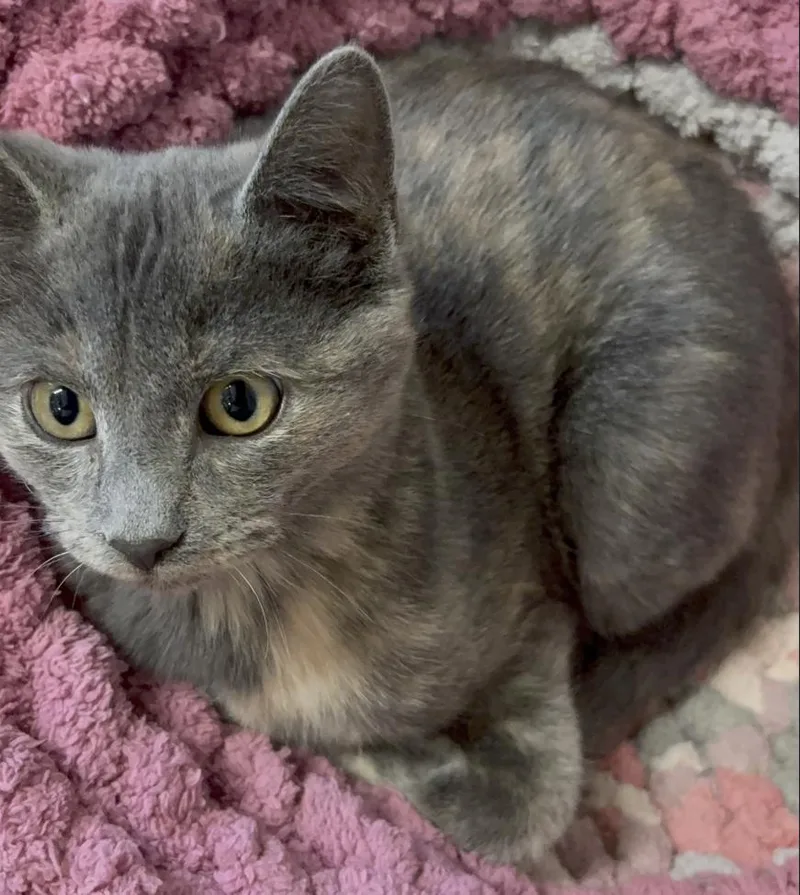 Samantha thumbnail 5