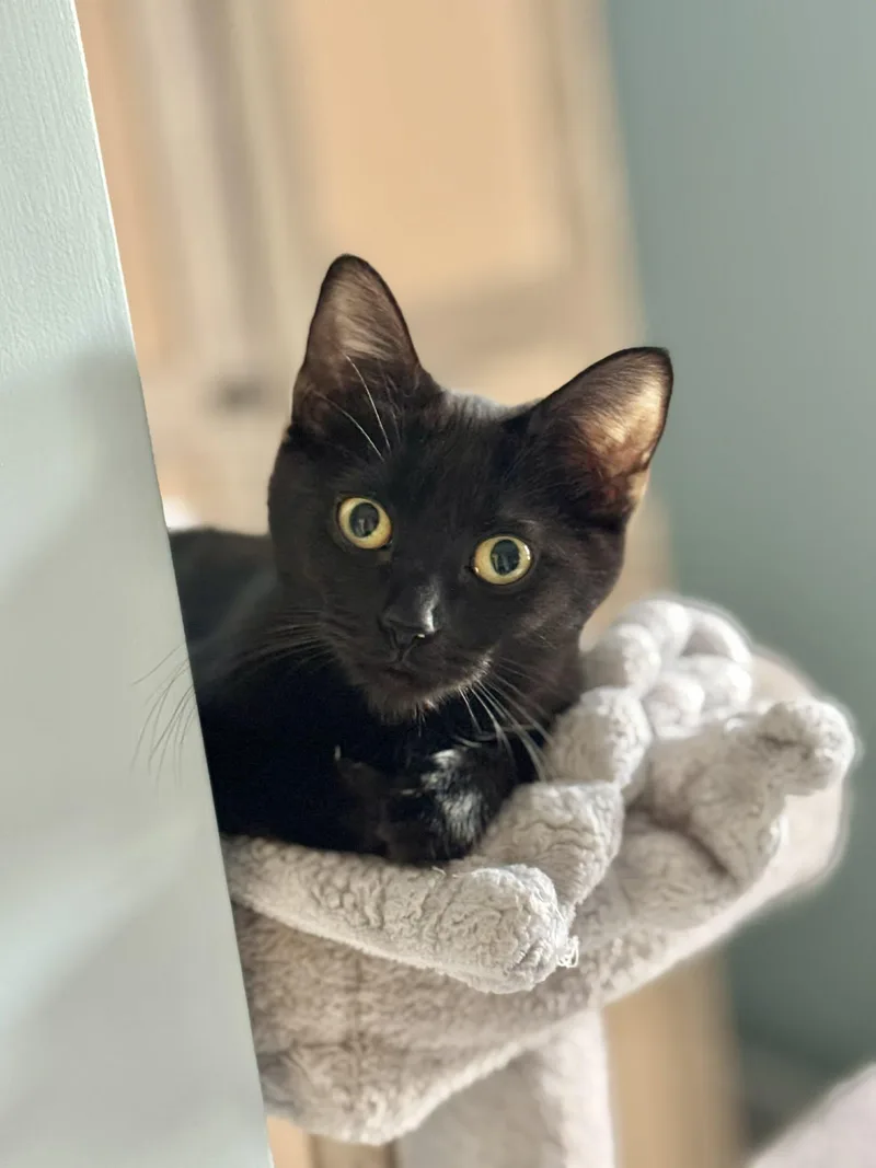 Trixie And Alice thumbnail 3