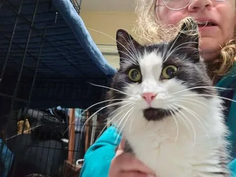Penelope thumbnail 2