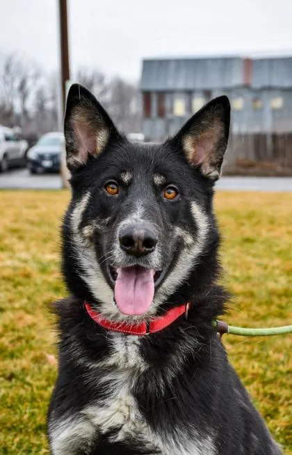 Quincey