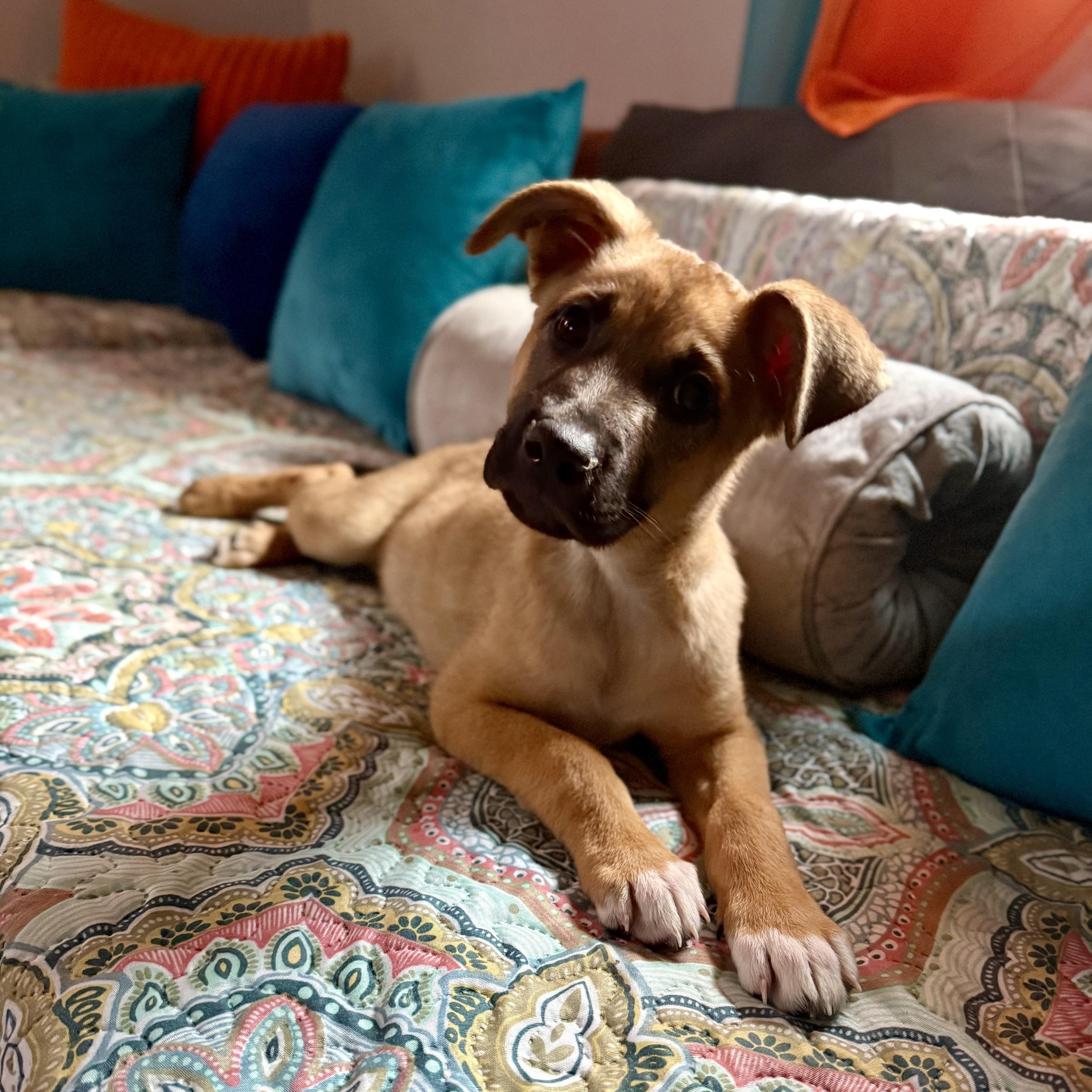 June Bug thumbnail 2