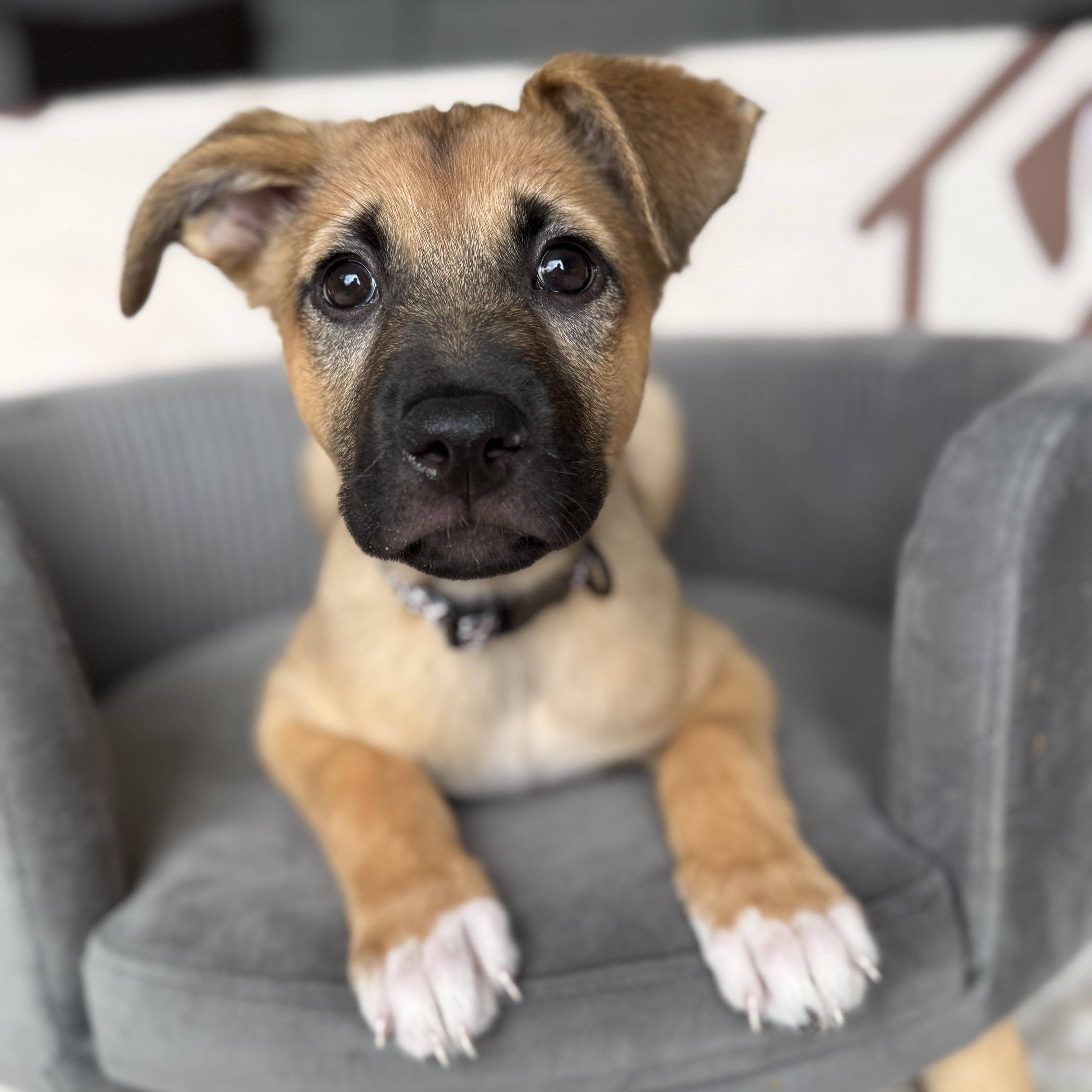 June Bug thumbnail 3