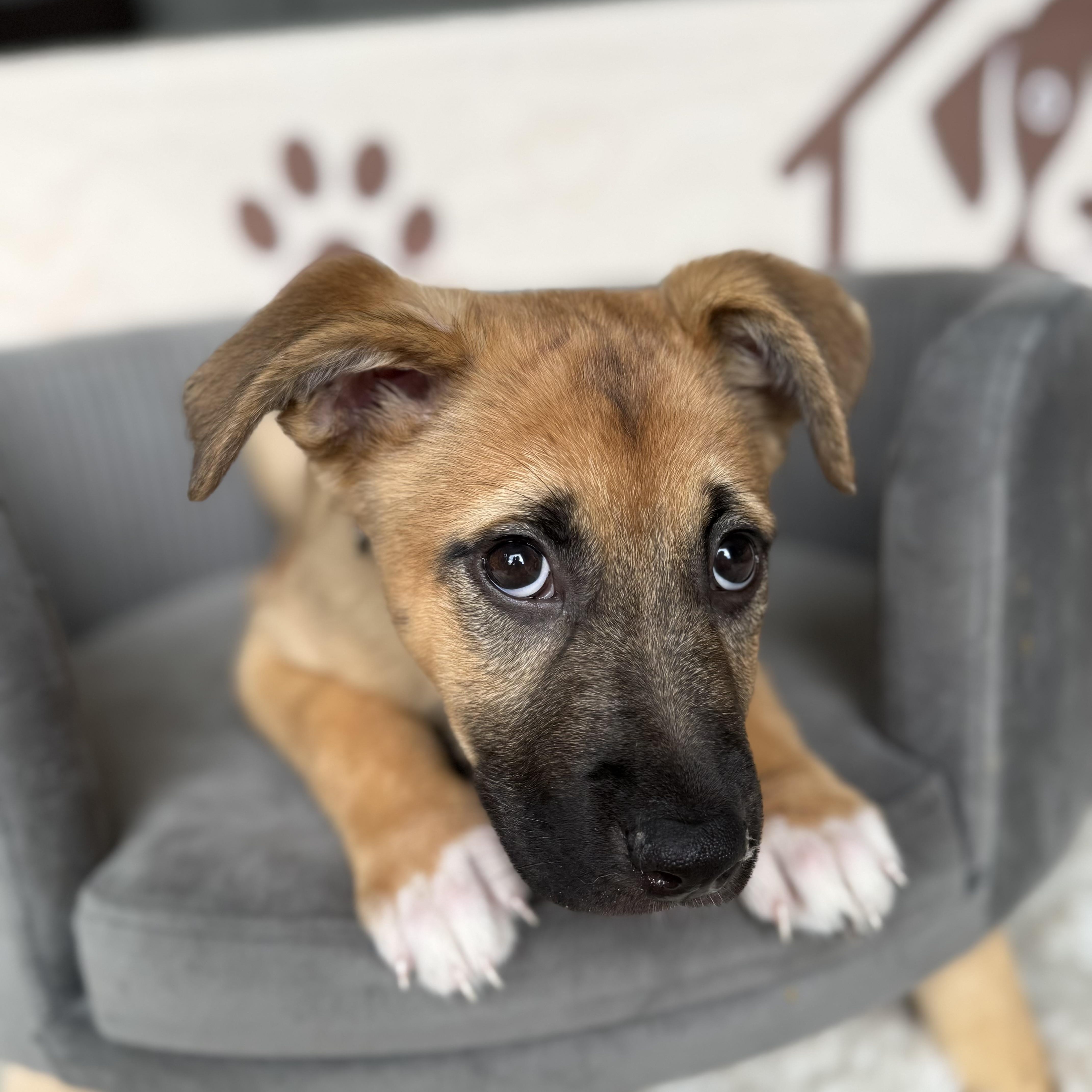 June Bug thumbnail 5