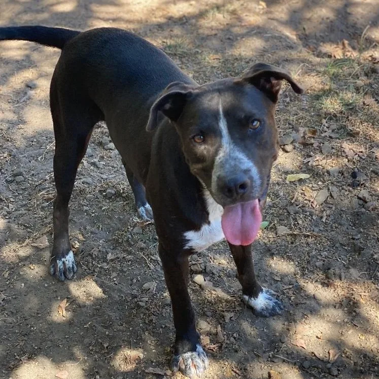 Big Daddy thumbnail 4