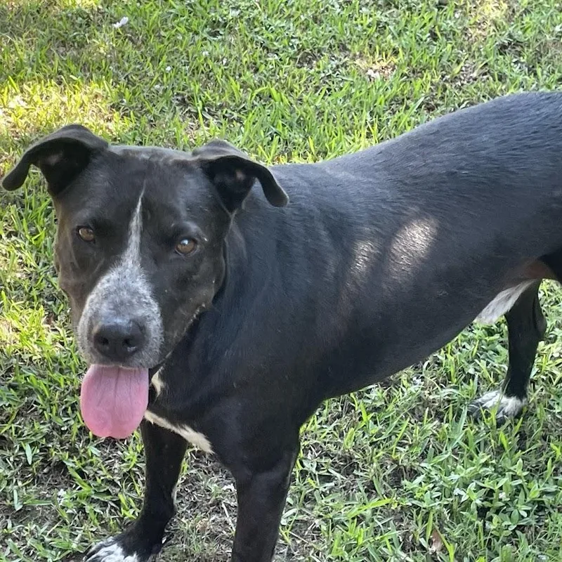 Big Daddy thumbnail 5