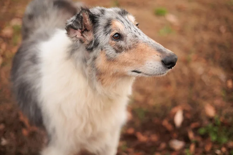 Roxy Grace thumbnail 3