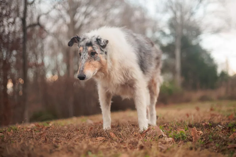 Roxy Grace thumbnail 4