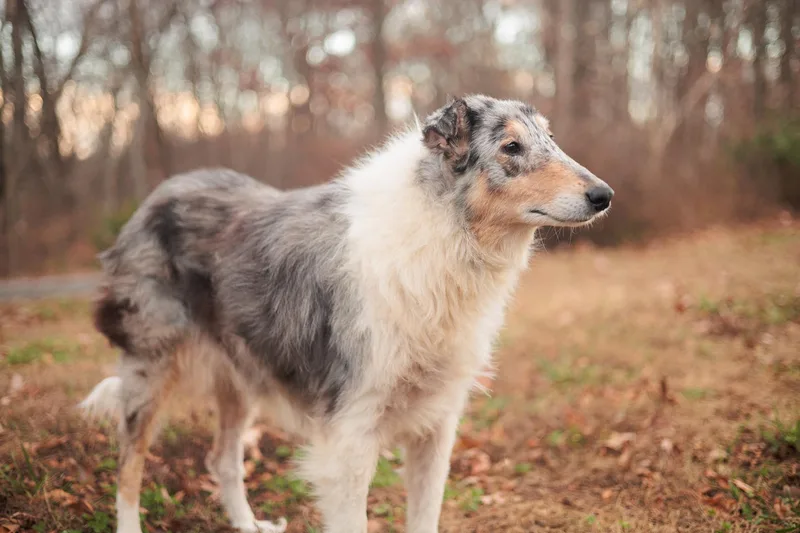 Roxy Grace thumbnail 5