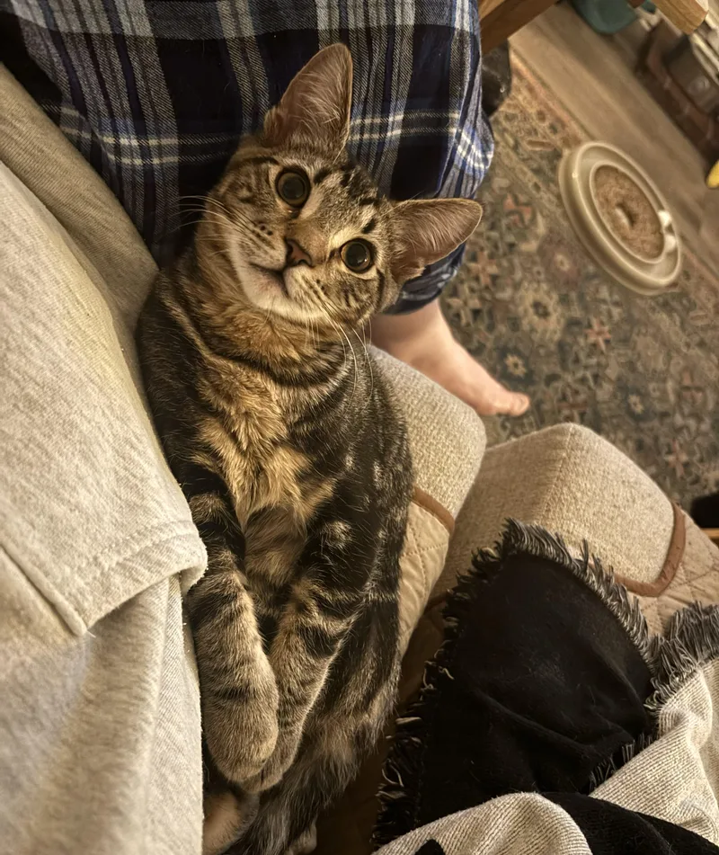 Gnocchi And Snap thumbnail 5