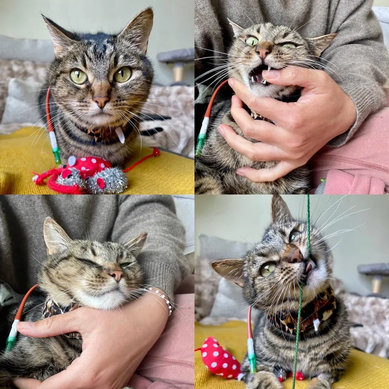 Princess thumbnail 2