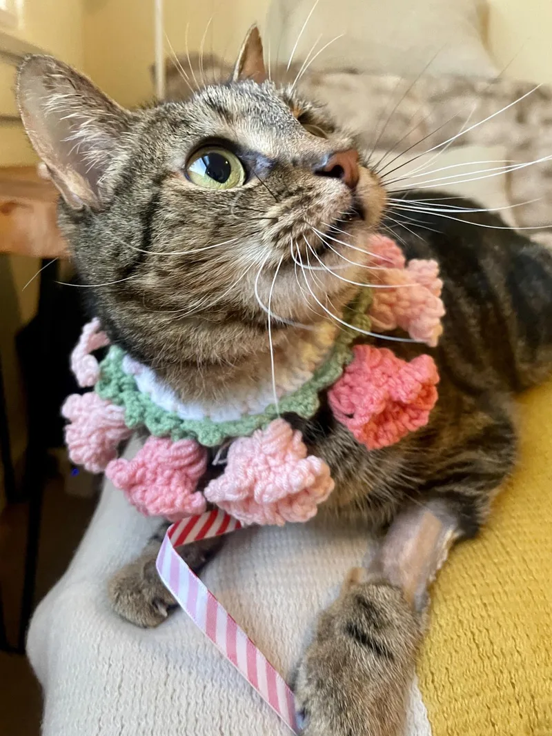 Princess thumbnail 3