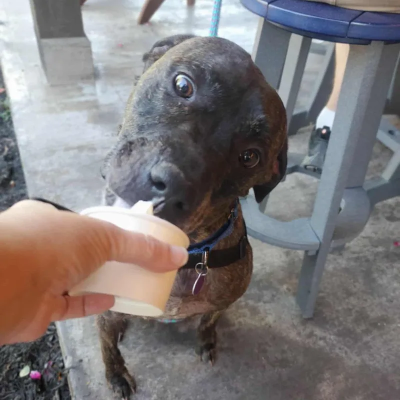 Marshall thumbnail 2