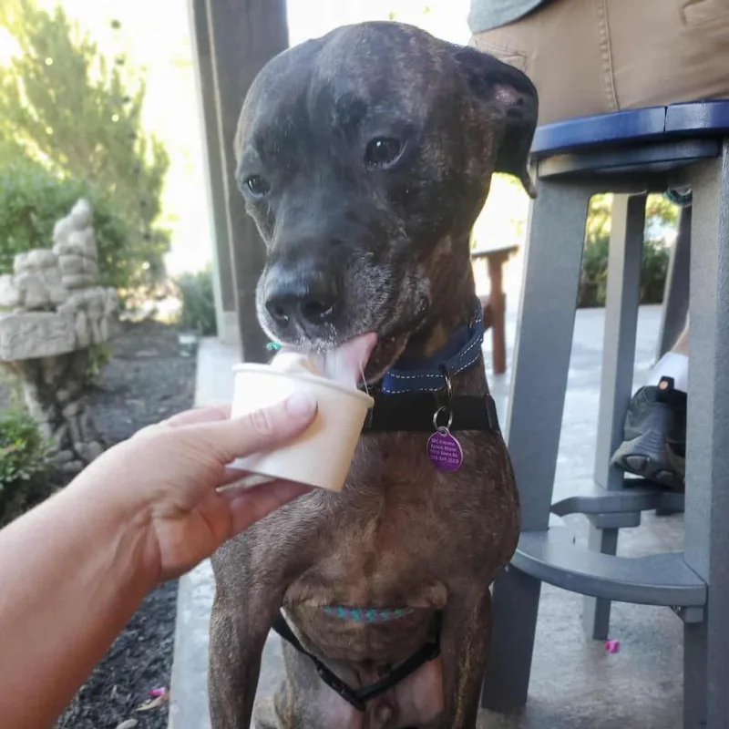 Marshall thumbnail 4