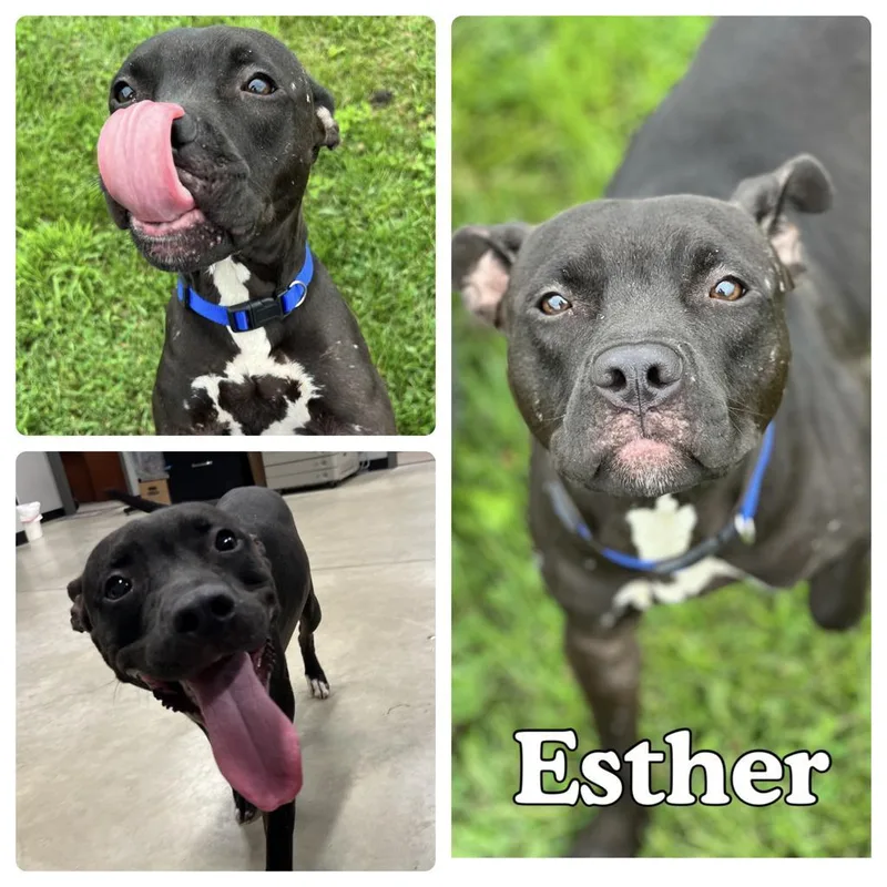 Esther thumbnail 2