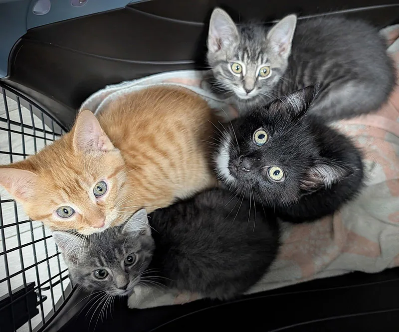 Arnold Palmer thumbnail 3