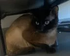Bruce