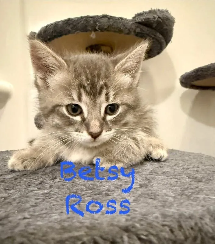 Betsy Rossblue