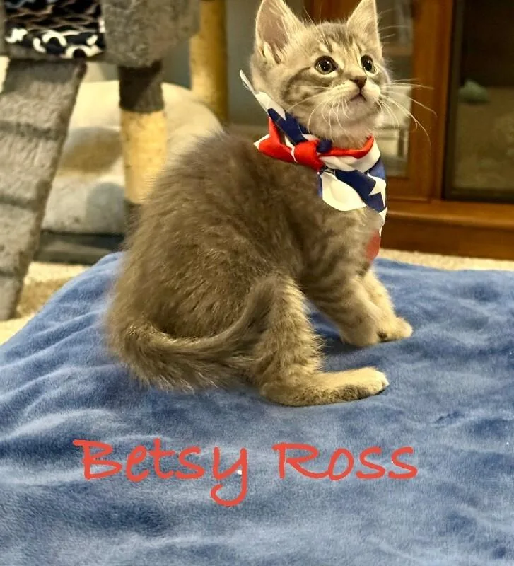 Betsy Rossblue thumbnail 3