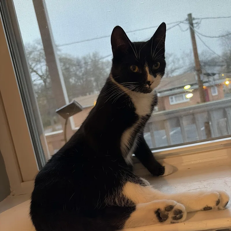 Tanner & Tyler thumbnail 2